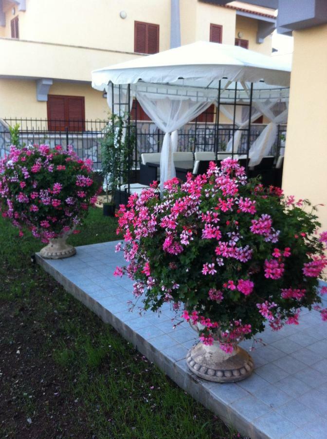 Villa Dei Cedri Scalea Buitenkant foto