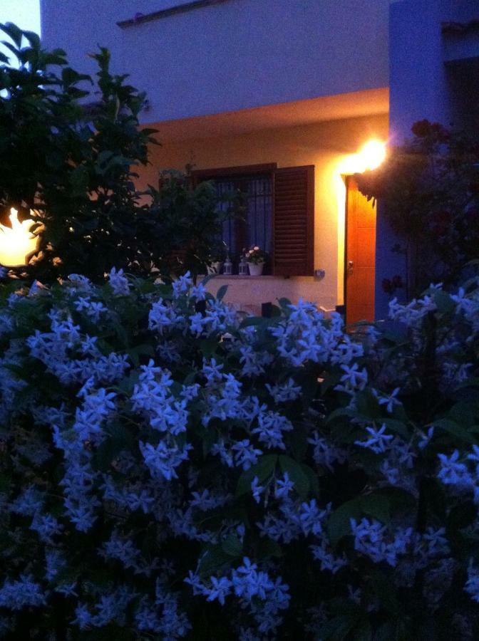 Villa Dei Cedri Scalea Buitenkant foto